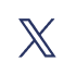 x-img